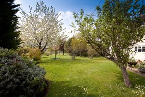 Garden- click for photo gallery